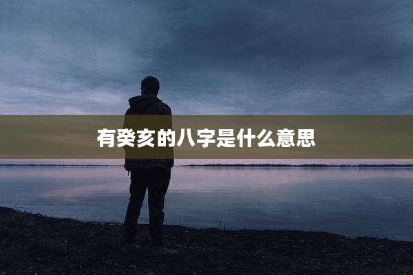 有癸亥的八字是什么意思