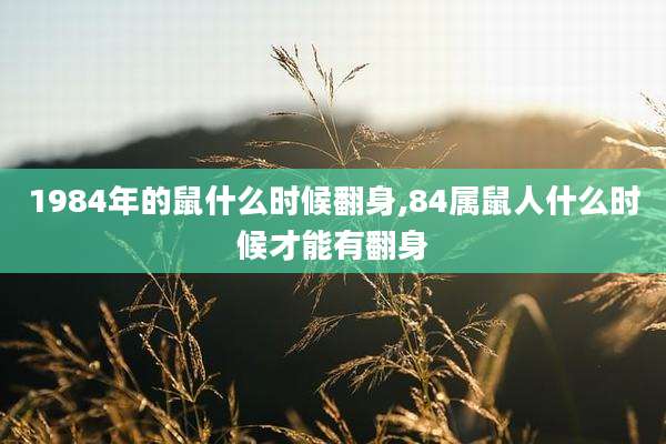 1984年的鼠什么时候翻身,84属鼠人什么时候才能有翻身