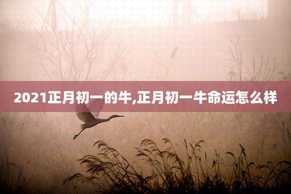 2021正月初一的牛,正月初一牛命运怎么样