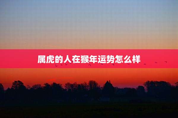 属虎的人在猴年运势怎么样
