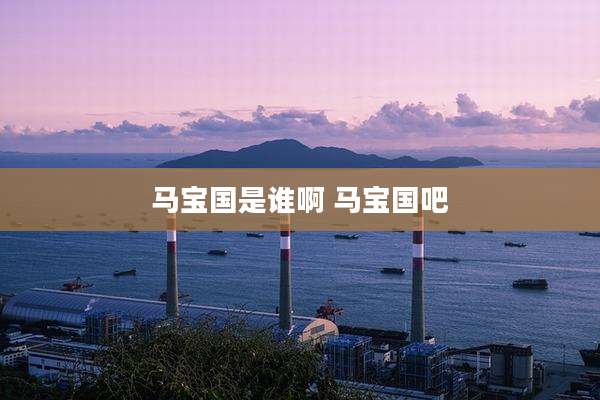 马宝国是谁啊 马宝国吧