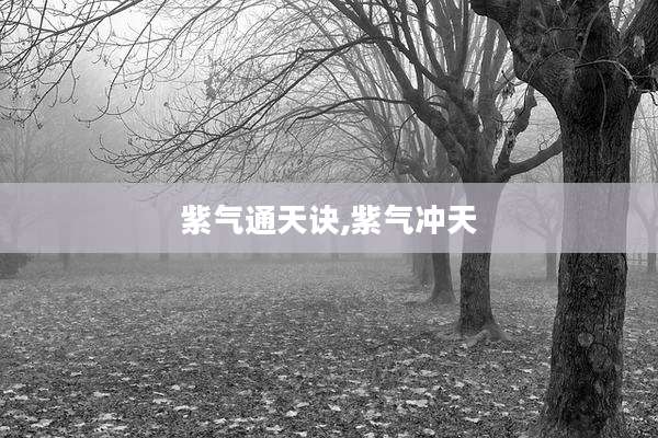 紫气通天诀,紫气冲天