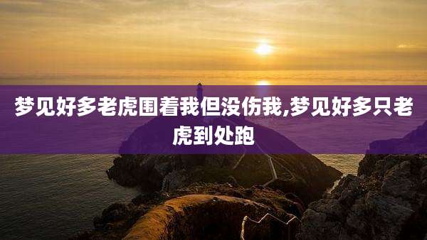 梦见好多老虎围着我但没伤我,梦见好多只老虎到处跑