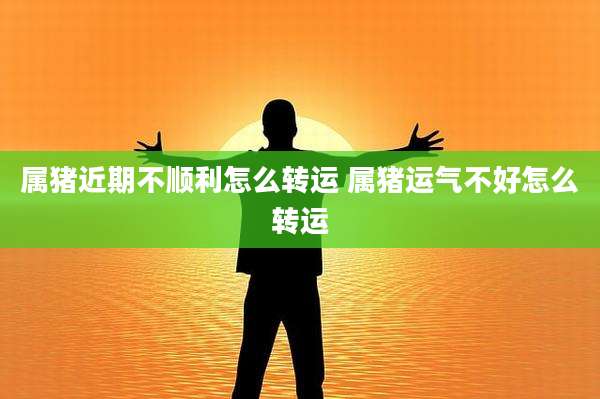 属猪近期不顺利怎么转运 属猪运气不好怎么转运