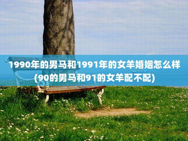 1990年的男马和1991年的女羊婚姻怎么样(90的男马和91的女羊配不配)