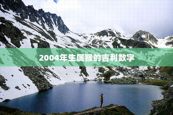 2004年生属猴的吉利数字