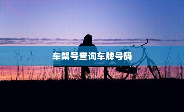 车架号查询车牌号码