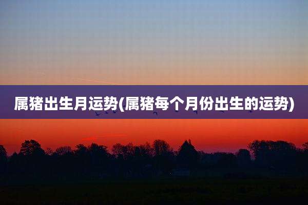 属猪出生月运势(属猪每个月份出生的运势)