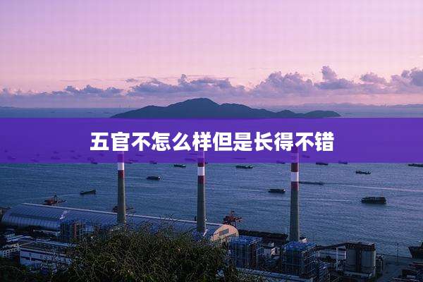 五官不怎么样但是长得不错