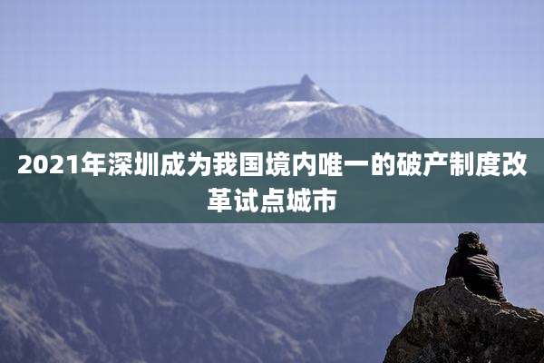 2021年深圳成为我国境内唯一的破产制度改革试点城市