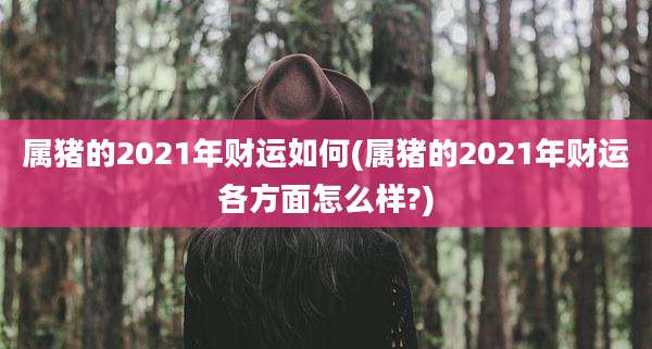 属猪的2021年财运如何(属猪的2021年财运各方面怎么样?)