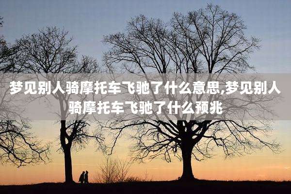 梦见别人骑摩托车飞驰了什么意思,梦见别人骑摩托车飞驰了什么预兆