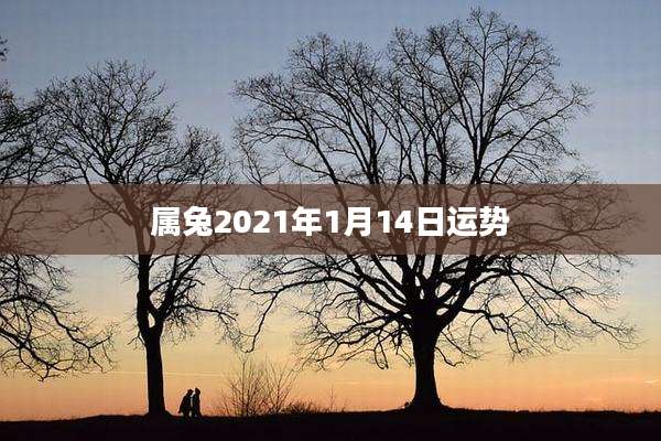 属兔2021年1月14日运势