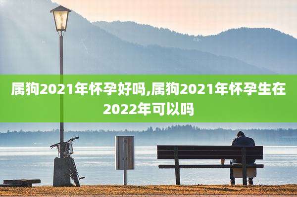 属狗2021年怀孕好吗,属狗2021年怀孕生在2022年可以吗