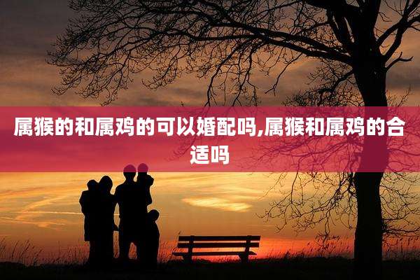 属猴的和属鸡的可以婚配吗,属猴和属鸡的合适吗