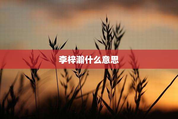 李梓瀚什么意思