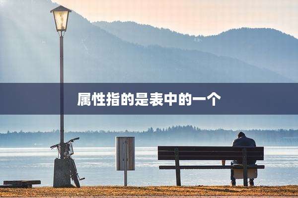 属性指的是表中的一个