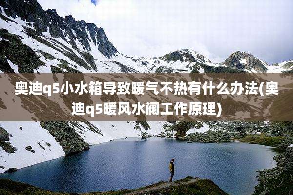 奥迪q5小水箱导致暖气不热有什么办法(奥迪q5暖风水阀工作原理)