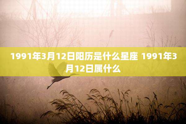 1991年3月12日阳历是什么星座 1991年3月12日属什么