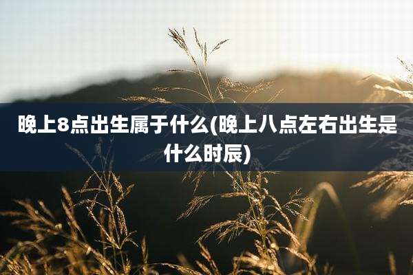 晚上8点出生属于什么(晚上八点左右出生是什么时辰)