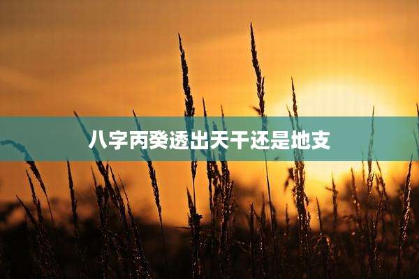 八字丙癸透出天干还是地支