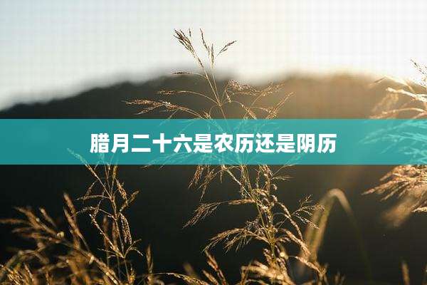 腊月二十六是农历还是阴历