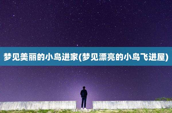 梦见美丽的小鸟进家(梦见漂亮的小鸟飞进屋)