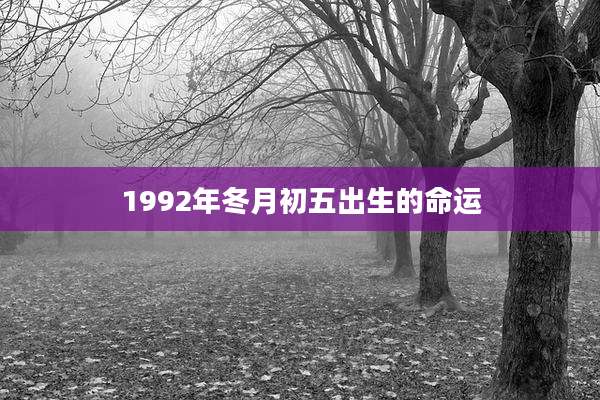1992年冬月初五出生的命运