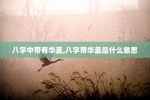 八字中带有华盖,八字带华盖是什么意思