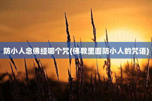 防小人念佛经哪个咒(佛教里面防小人的咒语)