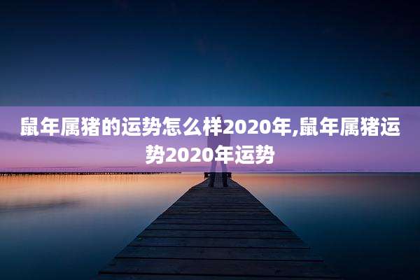 鼠年属猪的运势怎么样2020年,鼠年属猪运势2020年运势