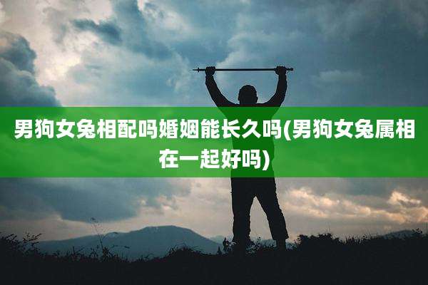 男狗女兔相配吗婚姻能长久吗(男狗女兔属相在一起好吗)