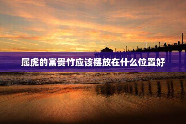 属虎的富贵竹应该摆放在什么位置好