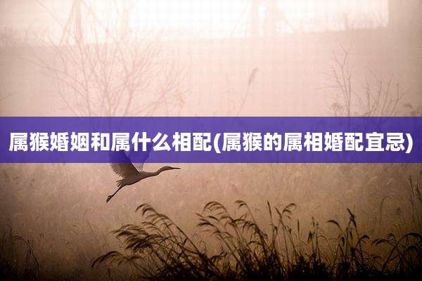 属猴婚姻和属什么相配(属猴的属相婚配宜忌)