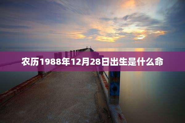 农历1988年12月28日出生是什么命
