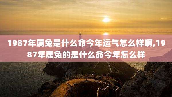 1987年属兔是什么命今年运气怎么样啊,1987年属兔的是什么命今年怎么样