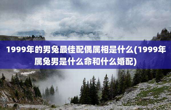 1999年的男兔最佳配偶属相是什么(1999年属兔男是什么命和什么婚配)