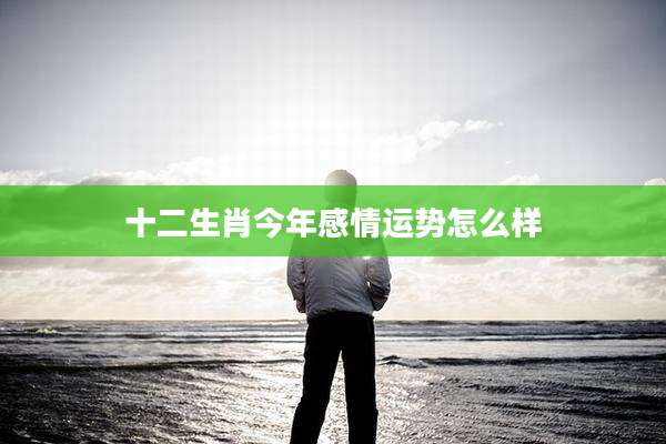 十二生肖今年感情运势怎么样