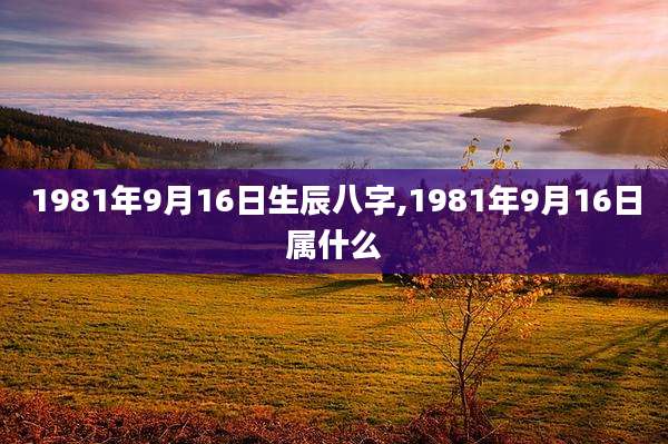 1981年9月16日生辰八字,1981年9月16日属什么