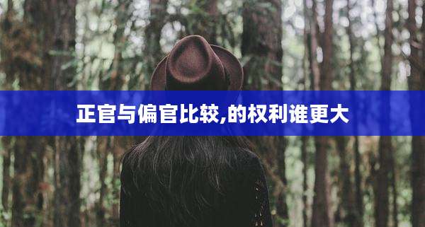 正官与偏官比较,的权利谁更大