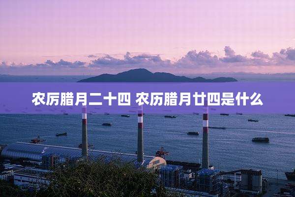 农厉腊月二十四 农历腊月廿四是什么