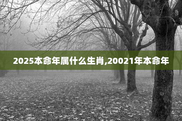 2025本命年属什么生肖,20021年本命年