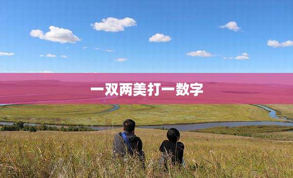 一双两美打一数字