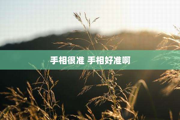 手相很准 手相好准啊
