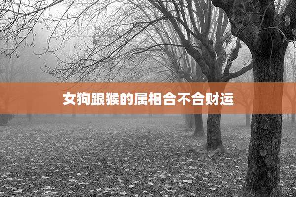 女狗跟猴的属相合不合财运