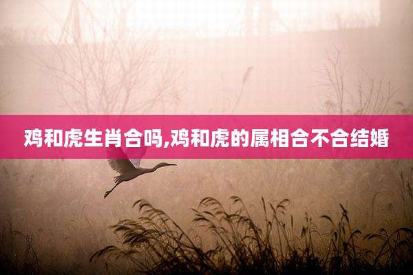 鸡和虎生肖合吗,鸡和虎的属相合不合结婚