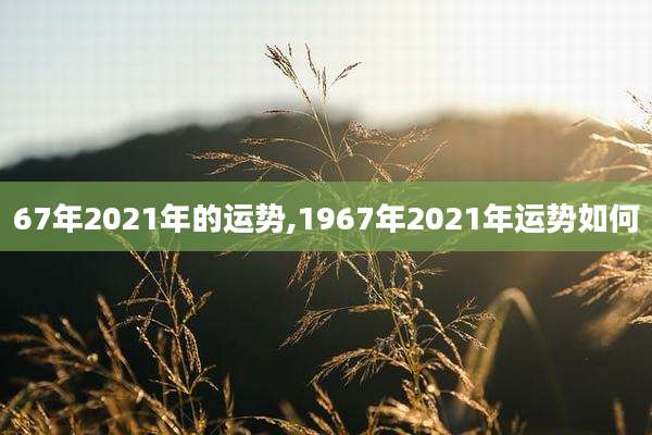 67年2021年的运势,1967年2021年运势如何