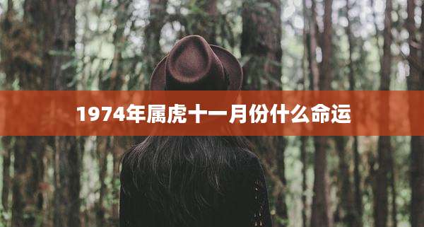 1974年属虎十一月份什么命运