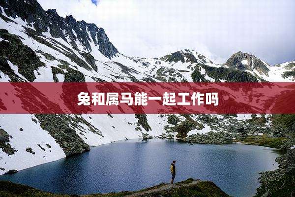 兔和属马能一起工作吗