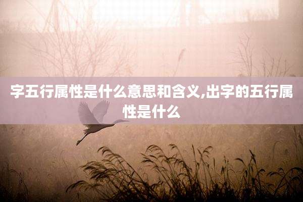 字五行属性是什么意思和含义,出字的五行属性是什么